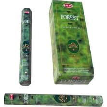 Forest Hexa