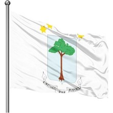 Asya Bayrak Ekvator Gine Gönder Bayrağı (100 x150 Cm)