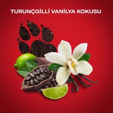 Old Spice Night Panther Erkek Sprey Vücut Deodorantı 150 ml