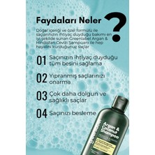 Green Label Argan Ve Hindistan Cevizi Özlü DökülmeKarşıtı Besleyici Ve Onarıcı Keratin Şampuanı 400 ML