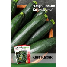 Patika Botanik 25 Adet Yerli Ata Siyah Kabak Tohumu (Kolsuz Kara Kabak)