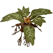 Luxixi 25CM Harry Potter Mandrake Peluş Oyuncak Bebek (Yurt Dışından)