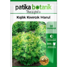 Patika Botanik 1.700 Adet Kışlık Yerli Ata Kıvırcık Marul Tohumu