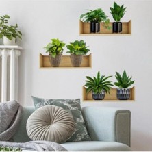 Rozia Raflı Bitki Tasarımlı Yapışkanlı Sticker 20X30 cm 3lü Set Ev Dekorasyonu Çiçek Duvar Çıkartması