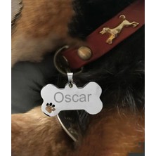 Truego Kişiye Özel Kemik Model Patili Çelik Kedi Köpek Künyesi
