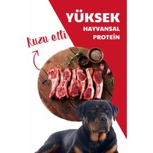 Herba Max Adult Kuzu Etli Yetişkin Köpek Maması 10 Kg