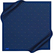 Pierre Cardin Tivil Eşarp 4839-924