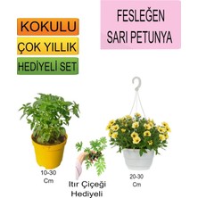 3'lü Set Fesleğen+Askılı Saksılı Sarı Petunya+Hediyelik Itır Çiçeği