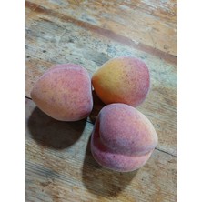 Lolipop Hobi Yapay Meyve Şeftali  3 Adet, Dekor, Yapay Meyve, Şeftali