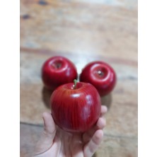 Lolipop Hobi Yapay Meyve Kırmızı Elma 3 Adet, Dekor, Yapay Meyve, Elma