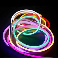 Vıp Profesyonel Cep Kontrol Kumandalı IP65 Neon Hortum LED Işık 5 Metre Renkli LED Işık Dıs Mekan