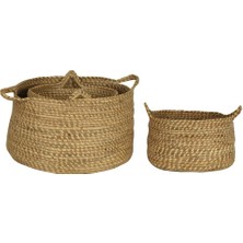 Vitale 3'lü Hasır Sepet Takımı AK.JJ0013