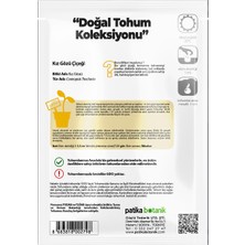 Patika Botanik 100 Adet Kız Gözü (Coreopsis Tinctoria) Çiçek Tohumu