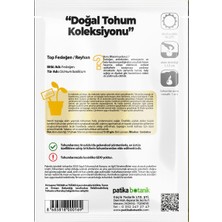 Patika Botanik 80 Adet Yerli Ata Top Fesleğen - Top Reyhan (Ocimum Basilicum) Tohumu