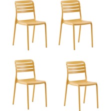 Novussi Not Sandalye 4'lü Paket