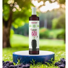 Berrie's Karadut Özü 700 gr