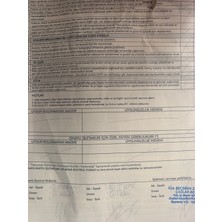 İdalina Soğuk Sıkım   Zeytinyağı