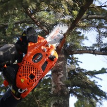 RONEY POWER Benzinli Ağaç Kesme Motoru 25.4cc - CS 2501