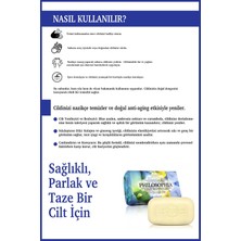 Nesti Dante Philosophia Collagen Katı Sabun 250 gr | Yaşlanma Karşıtı | Ginseng, Mavi Açelya