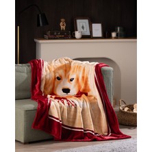 Chiot Wellsoft Polar Baskılı Tv Battaniye - Kahverengi