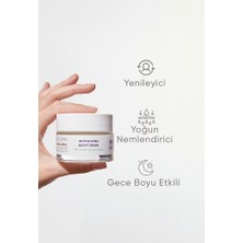 Iva Natura 2'li Set - Nemlendirici Gündüz Kremi, Canlandırıcı Gece Kremi