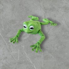 Dna Studio 3D Kurbağa Figür