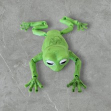 Dna Studio 3D Kurbağa Figür