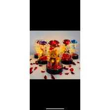 Hamak Accessories Sevgililer Günü Solmayan Ledli Fanus