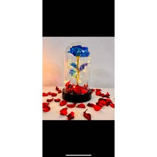 Hamak Accessories Sevgililer Günü Solmayan Ledli Fanus