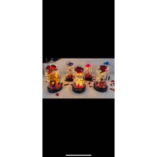 Hamak Accessories Sevgililer Günü Solmayan Ledli Fanus