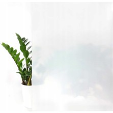 D-C-Fix 176-0338 Rakı Beyazı Kendinden Yapışkanlı Cam Folyo (45 cm x 1 Mt)