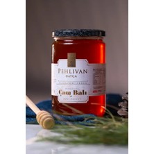 Çam Balı Cam Kavanoz 850 gr