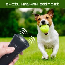 Sonex Ultrasonik Köpek Eğitme ve Köpek ve Kedi Kovucu Cihaz