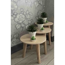 Doğal Ahşap 3\'lü Yuvarlak Dekoratif Hobi Saksılık & Çocuk Hobi Aktivite Taburesi