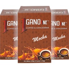 16 Kutu Ganoone Mocha, Ganoderma Reishi Mantarı Özütlü Kahve Karışımı - (240 Poşet x 26g)