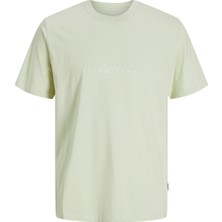 Jack & Jones Jack&jones Varenna Branding Crew Neck Erkek Yeşil Yuvarlak Yaka Tişört