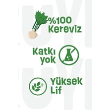 Kuru Yeşil Kök Kereviz Tozu -  Celery Powder  -  Gluten Içermez - Vegetables Powder - Kereviz Tozu 100 gr