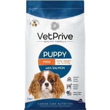 Vet Prive Somonlu Küçük Irk Yavru Köpek Maması 3 kg