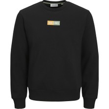 Jack&jones Pan Crew Neck Erkek Siyah Yuvarlak Yaka Sweatshirt