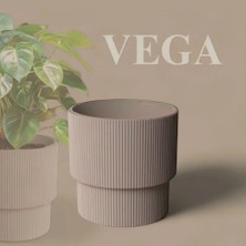 Serinova Vega Dekoratif Modern Saksı