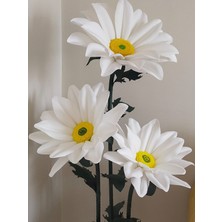 Masal Eva Çiçekçilik 3'lü Dev Papatya-Eva Çiçeği- 2 Metre Dev Papatya- Masal Eva Çiçekçilik