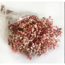 Ipek Hobi Turuncu Şoklanmış Renkli Cipso