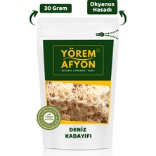 Gülçehre Yörem Afyon Tropik Okyanus Hasadı Deniz Kadayıfı, Irlanda Yosnu, Sea Moss,chondrus Crispus | 30GR.
