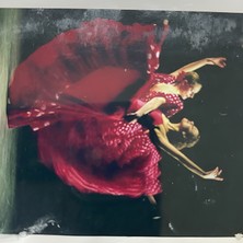 5d Yapışan Boncuk Goblen 30 x 40 cm Mozaik Tablo Pano 60337