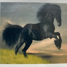 5d Yapışan Boncuk Goblen 30 x 40 cm Mozaik Tablo Pano 60415