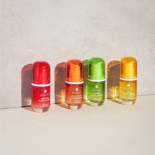 Erborian Ginseng Super Serum -Serum 30 ml
