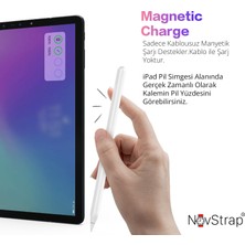 Novstrap Apple iPad Mini 6 ile Uyumlu Dokunmatik Tablet Kalemi 2. Nesil Smart Pencil Stylus Manyetik Şarj Avuç Içi Reddi