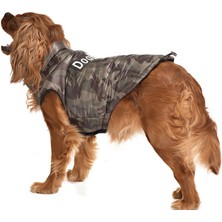 Küçük ve Orta Irk Köpek Mont Lebu