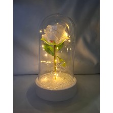 Işıklı Fanus / Sevgililer Günü