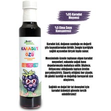 Baby World Natural Karadut Özü 350 gr +9 Ay
